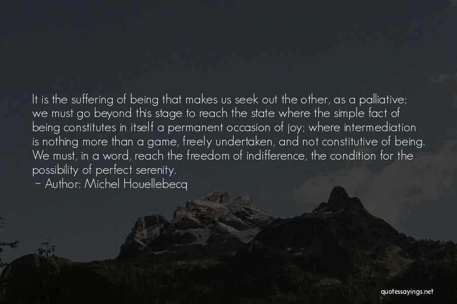 The Perfect Game Quotes By Michel Houellebecq