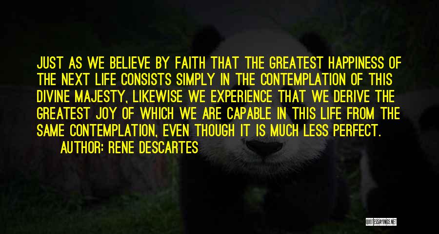 The Perfect Life Quotes By Rene Descartes