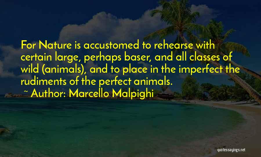 The Perfect Place Quotes By Marcello Malpighi