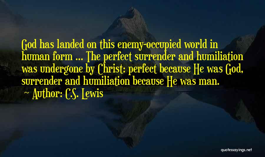 The Perfect World Quotes By C.S. Lewis