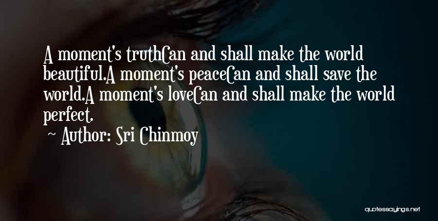 The Perfect World Quotes By Sri Chinmoy