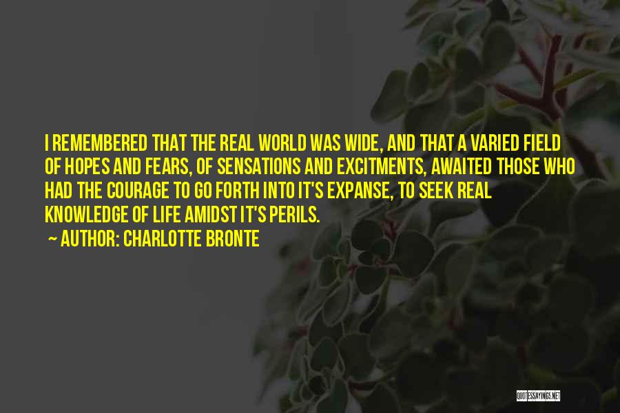 The Perils Of Life Quotes By Charlotte Bronte