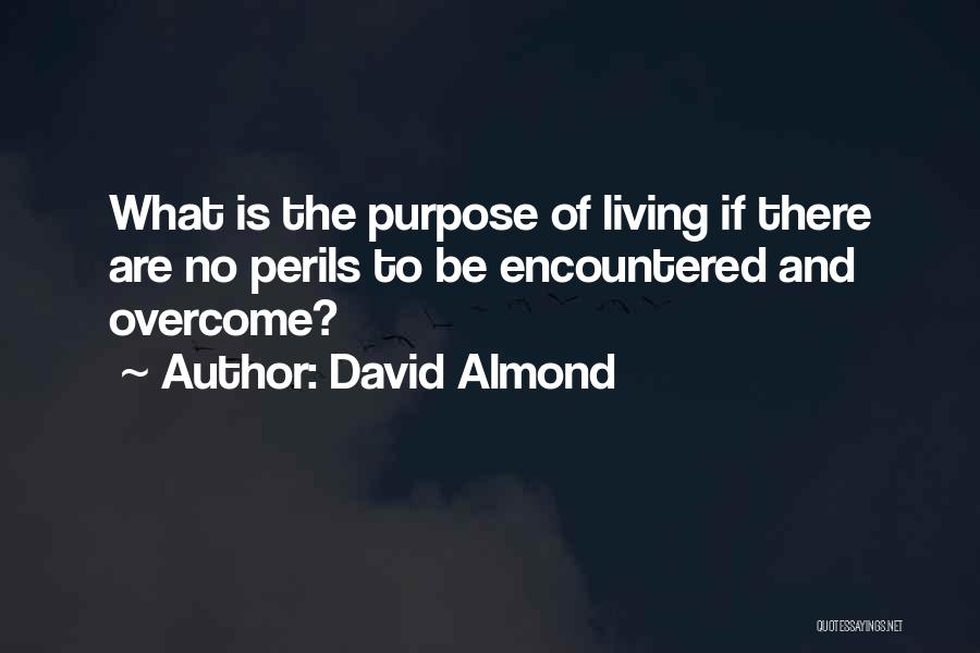 The Perils Of Life Quotes By David Almond