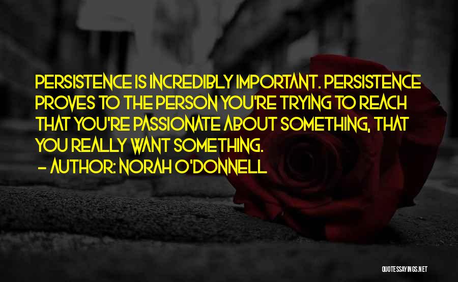 The Person You Are Trying To Reach Quotes By Norah O'Donnell