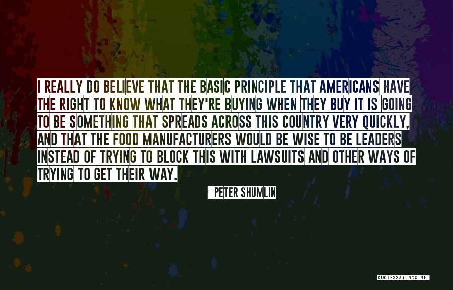 The Peter Principle Quotes By Peter Shumlin