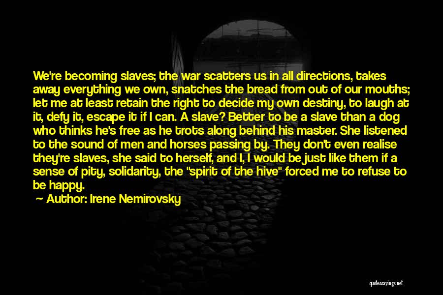 The Pity Of War Quotes By Irene Nemirovsky