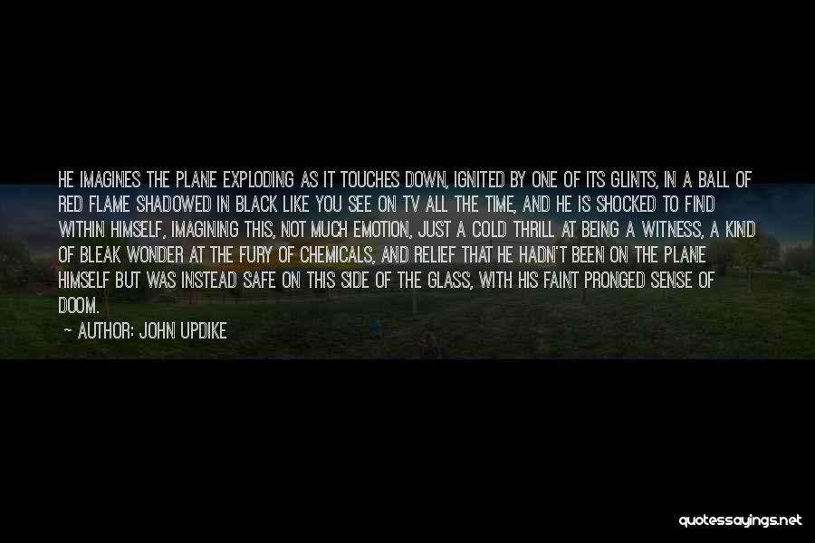 The Plane Quotes By John Updike
