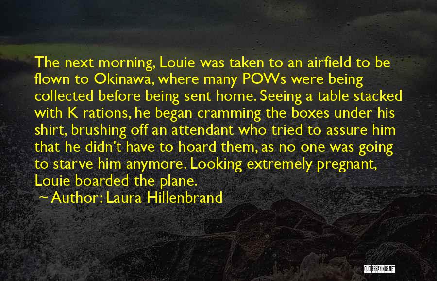 The Plane Quotes By Laura Hillenbrand