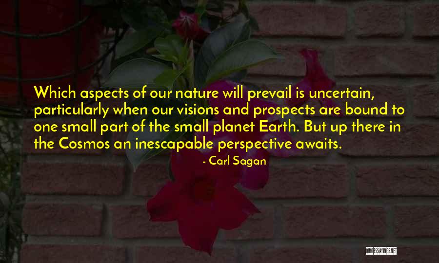 The Planet Earth Quotes By Carl Sagan