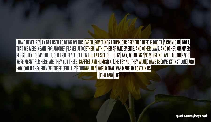 The Planet Earth Quotes By John Banville