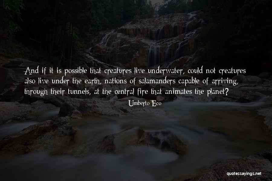 The Planet Earth Quotes By Umberto Eco