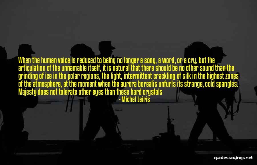 The Polar Regions Quotes By Michel Leiris