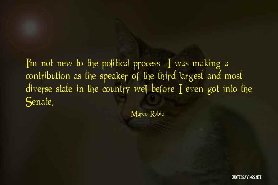The Political Process Quotes By Marco Rubio The Political Process Quotes By Marco Rubio