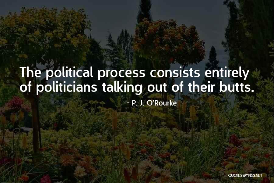 The Political Process Quotes By P. J. O'Rourke The Political Process Quotes By P. J. O'Rourke