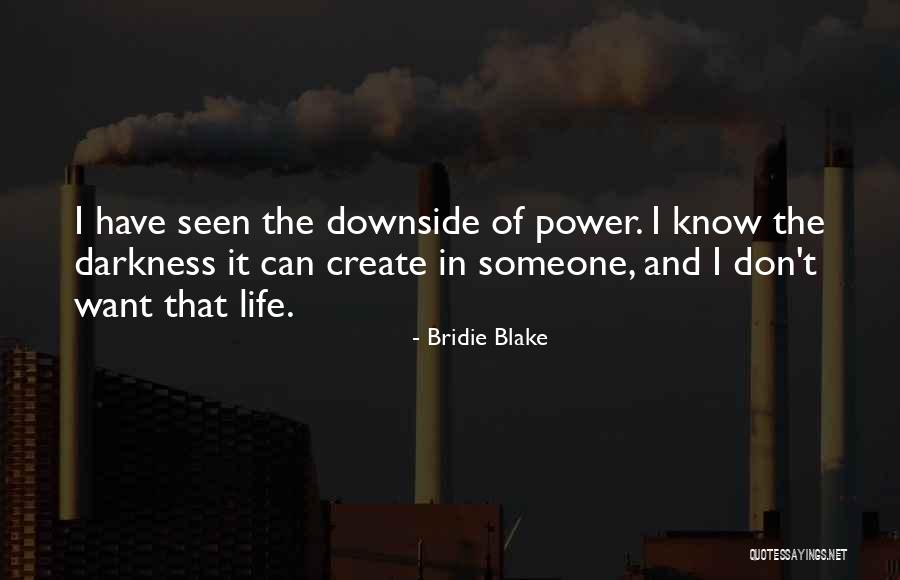 The Power Of Darkness Quotes By Bridie Blake The Power Of Darkness Quotes By Bridie Blake