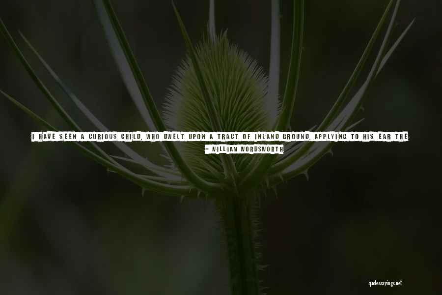 The Power Of Faith Quotes By William Wordsworth The Power Of Faith Quotes By William Wordsworth