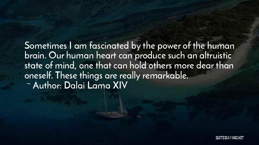 The Power Of The Human Mind Quotes By Dalai Lama XIV