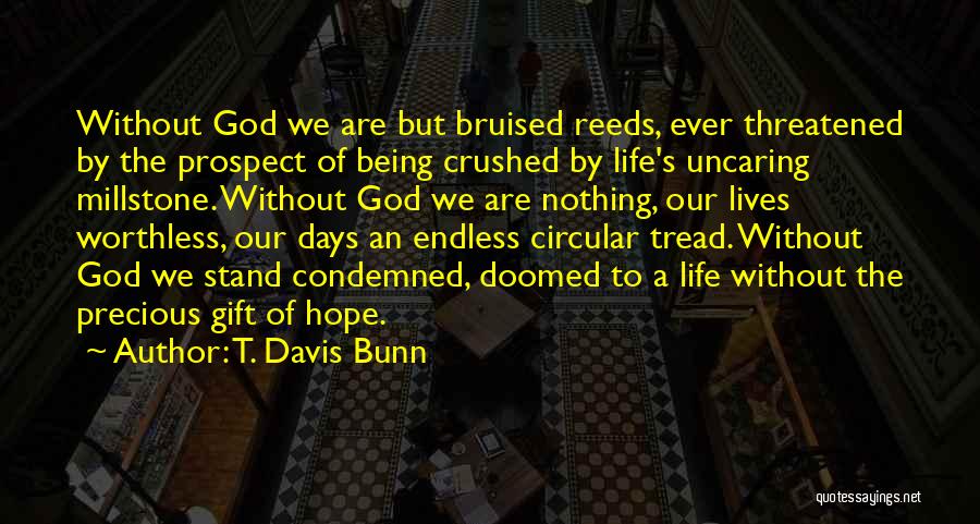 The Precious Gift Of Life Quotes By T. Davis Bunn