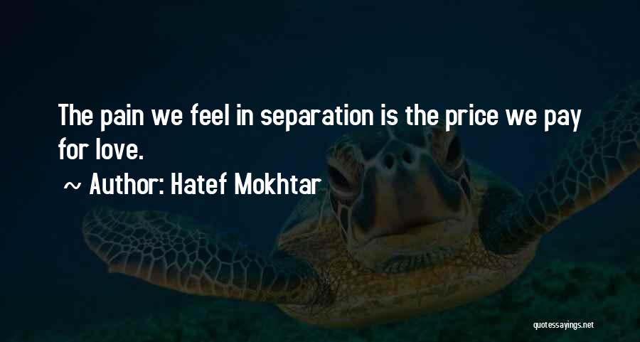 The Price We Pay For Love Quotes By Hatef Mokhtar