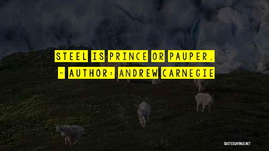 The Prince And The Pauper Quotes By Andrew Carnegie