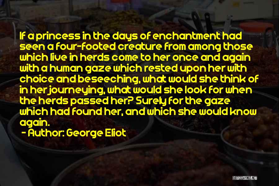 The Princess Quotes By George Eliot