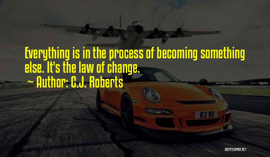 The Process Of Change Quotes By C.J. Roberts