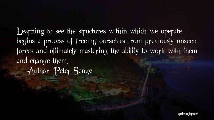 The Process Of Learning Quotes By Peter Senge