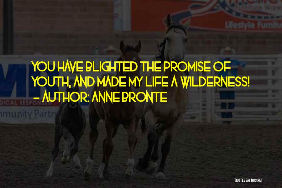 The Promise Of Youth Quotes By Anne Bronte