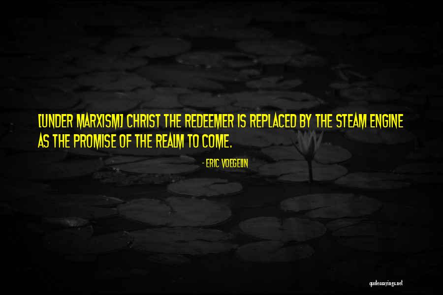 The Promise Quotes By Eric Voegelin The Promise Quotes By Eric Voegelin