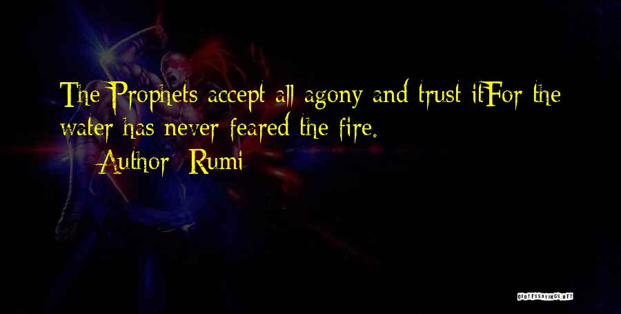 The Prophets Quotes By Rumi