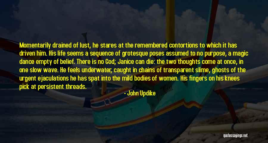 The Purpose Driven Life Quotes By John Updike