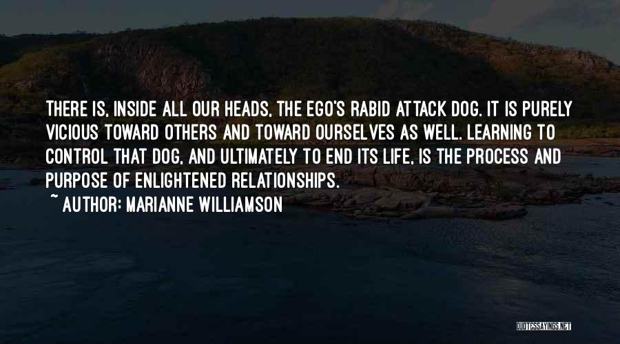 The Purpose Of Learning Quotes By Marianne Williamson