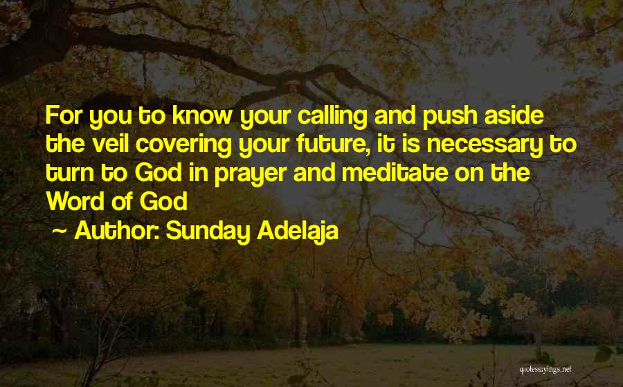 The Purpose Of Prayer Quotes By Sunday Adelaja