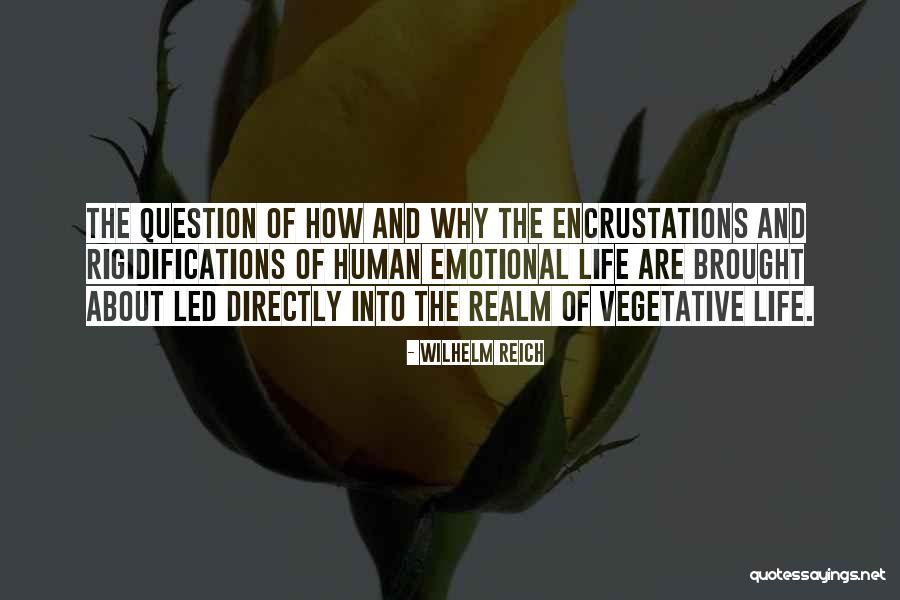 The Question Why Quotes By Wilhelm Reich