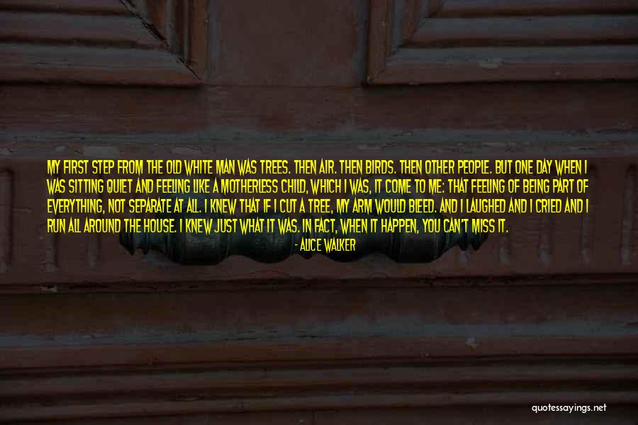 The Quiet Man Quotes By Alice Walker The Quiet Man Quotes By Alice Walker