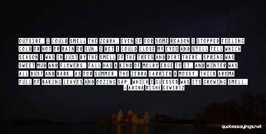 The Rain And Sun Quotes By Adina Rishe Gewirtz The Rain And Sun Quotes By Adina Rishe Gewirtz