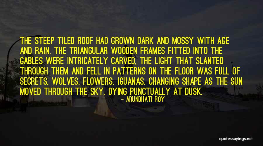 The Rain And Sun Quotes By Arundhati Roy The Rain And Sun Quotes By Arundhati Roy