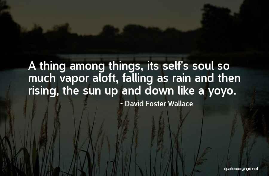 The Rain And Sun Quotes By David Foster Wallace The Rain And Sun Quotes By David Foster Wallace