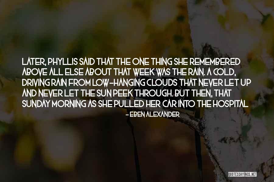 The Rain And Sun Quotes By Eben Alexander The Rain And Sun Quotes By Eben Alexander