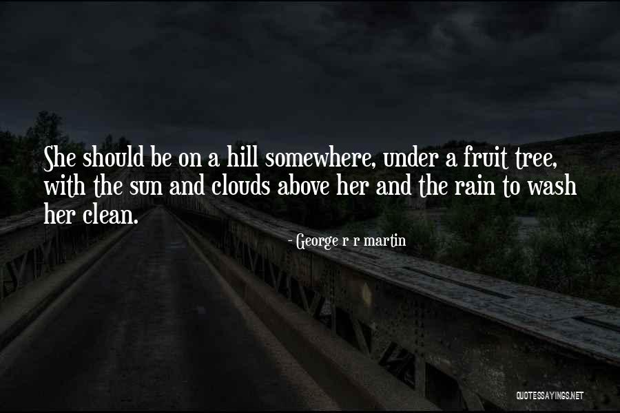 The Rain And Sun Quotes By George R R Martin The Rain And Sun Quotes By George R R Martin