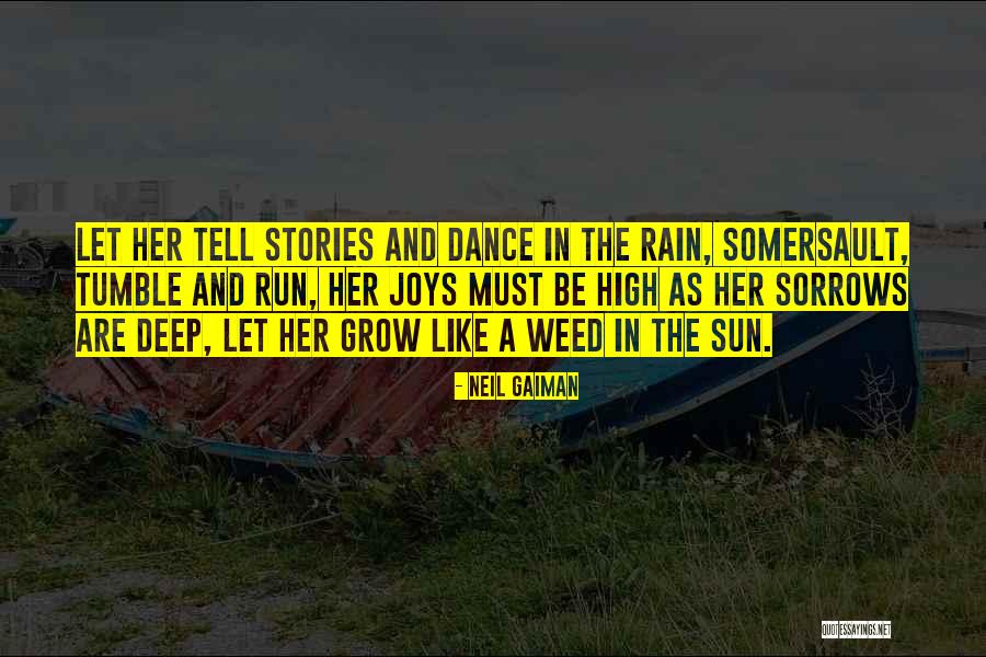 The Rain And Sun Quotes By Neil Gaiman The Rain And Sun Quotes By Neil Gaiman