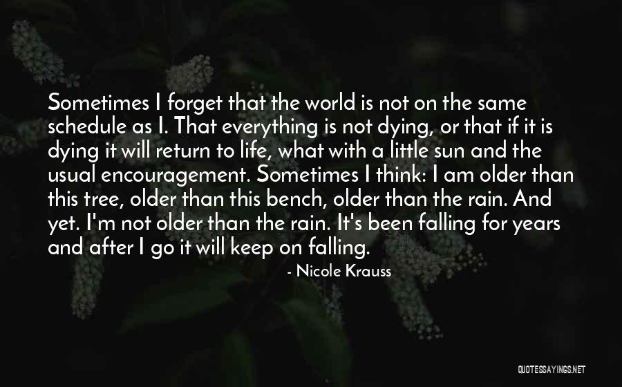 The Rain And Sun Quotes By Nicole Krauss The Rain And Sun Quotes By Nicole Krauss
