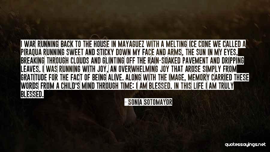 The Rain And Sun Quotes By Sonia Sotomayor The Rain And Sun Quotes By Sonia Sotomayor