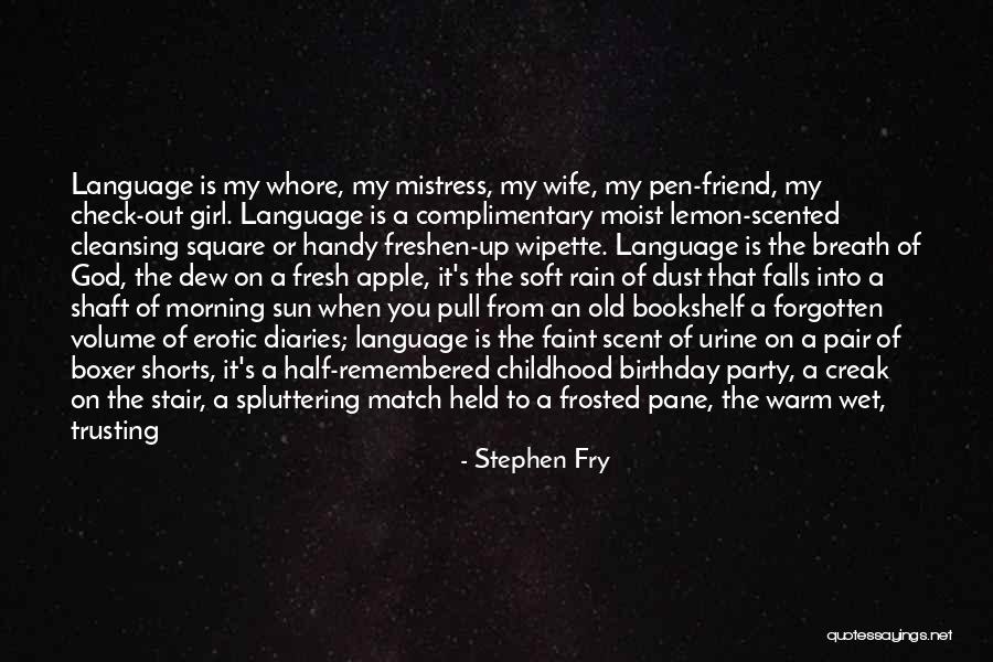 The Rain And Sun Quotes By Stephen Fry