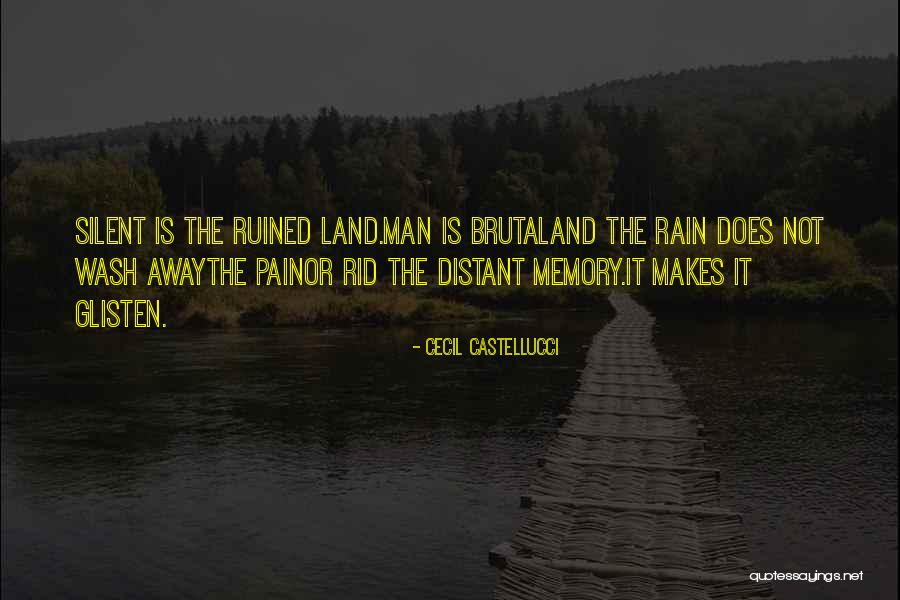 The Rain Man Quotes By Cecil Castellucci