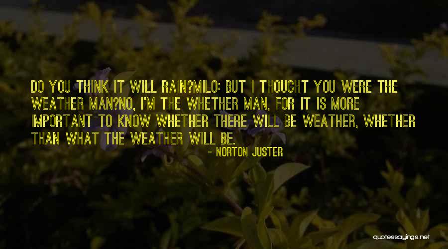 The Rain Man Quotes By Norton Juster