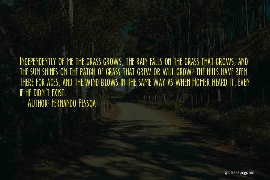 The Rain Quotes By Fernando Pessoa