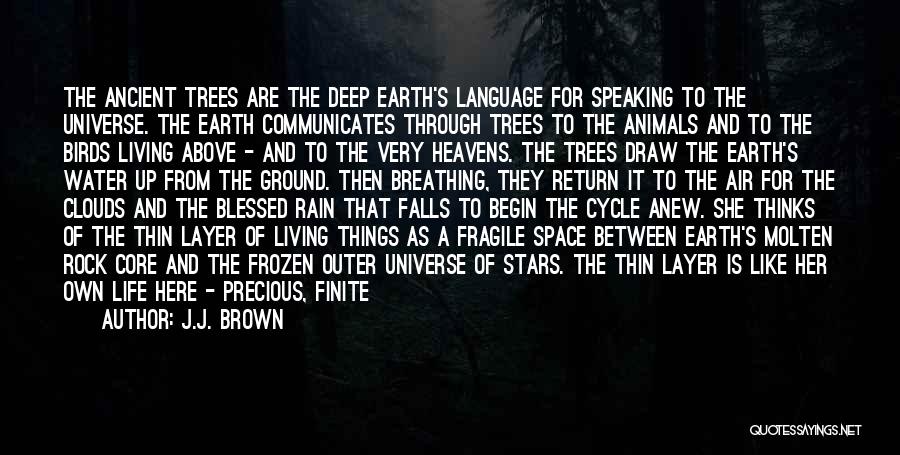 The Rain Quotes By J.J. Brown