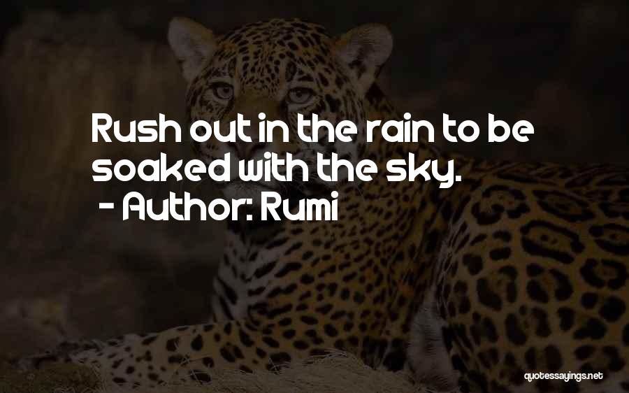 The Rain Quotes By Rumi