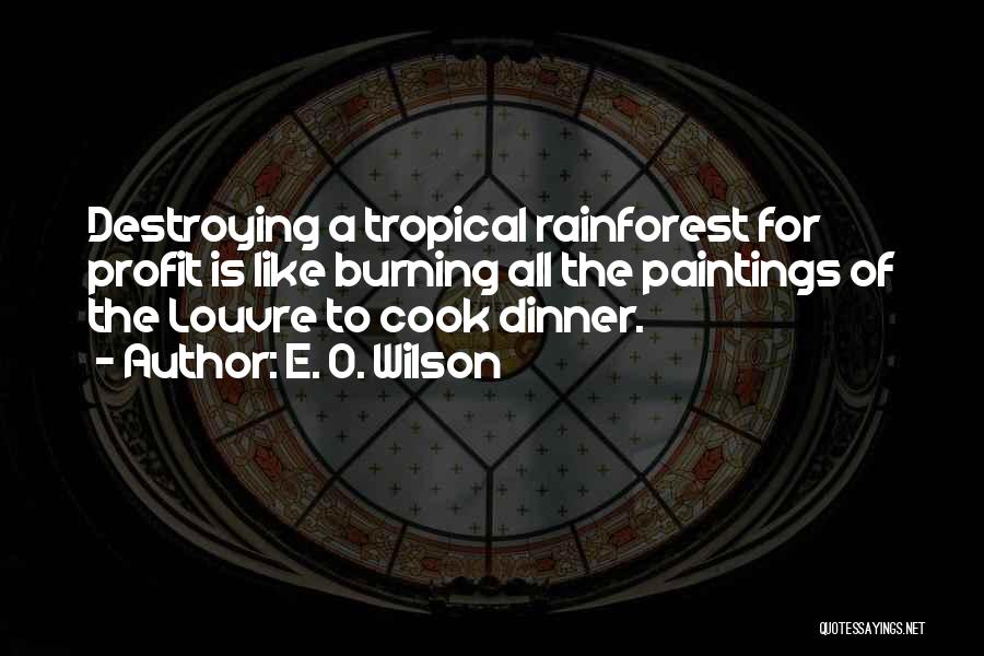 The Rainforest Quotes By E. O. Wilson